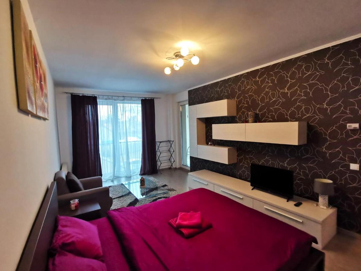 Contemporary Central Apartment In Cluj Napoca Eksteriør billede