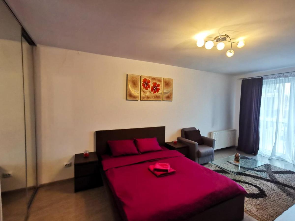 Contemporary Central Apartment In Cluj Napoca Eksteriør billede